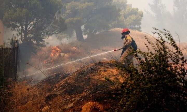 Πυρκαγιά στα Βίλια - Δήμαρχος Μάνδρας: 30 χρόνια δεν μας επιτρέπουν να φτιάξουμε αντιπυρικές ζώνες