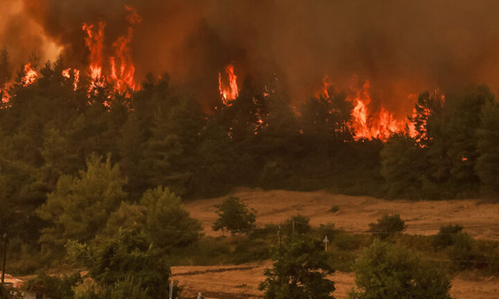 Κομοτηνή: Πάνω από 100 στρέμματα δασικής έκτασης έκαψε η πυρκαγιά στη Νυμφαία