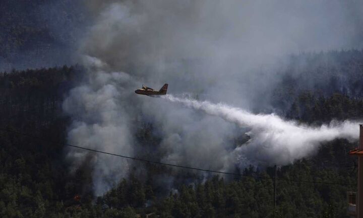 Πυρκαγιά στα Βίλια - Μάχη με τις αναζωπυρώσεις - Πάνω από 20 χλμ το πύρινο μέτωπο