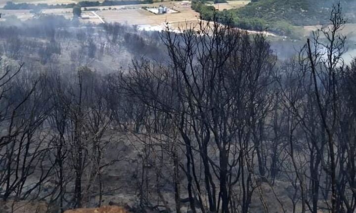  300 στρέμματα έγιναν στάχτη στους Αντιφιλίππους