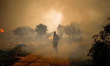 Πυρκαγιά στα Βίλια: Μάχη με τον πύρινο εφιάλτη - Εκκενώθηκαν πέντε οικισμοί
