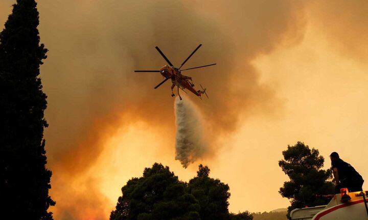 Πυρκαγιά στα Βίλια: Μάχη με τις φλόγες κοντά στους οικισμούς Οινόη και Πανόραμα