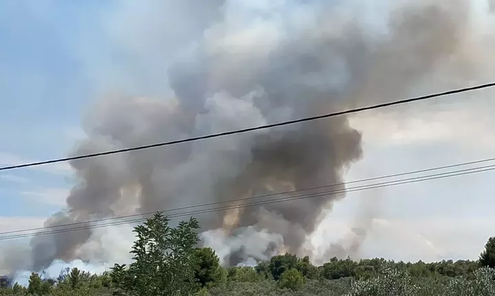 Φθιώτιδα: Σοκάρει ο 14χρονος «Νέρωνας»: Έβαζα φωτιές... γιατί μου αρέσει - Οδηγείται στον εισαγγελέα