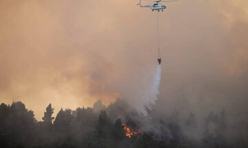 Νότια Εύβοια: Πυρκαγιά ξέσπασε πριν λίγο στο Θύμι Καρύστου
