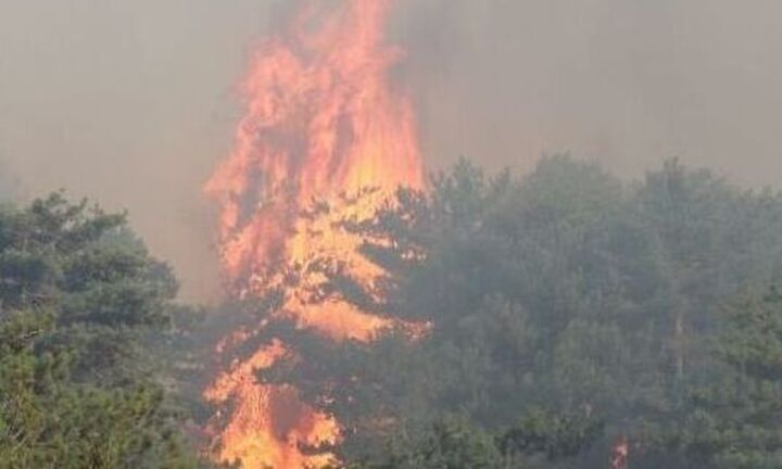 Βίλια: Ανεξέλεγκτη για τέταρτη μέρα η πυρκαγιά - Νότια προς το Πεδίο Βολής Μεγάρων το μέτωπο