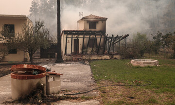 ΑΑΔΕ: 462 πυρόπληκτοι έχουν υποβάλει αιτήσεις αποζημίωσης στο arogi.gov.gr