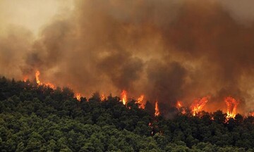 Πυρκαγιά στα Βίλια: Συνεχίζεται για πέμπτη ημέρα η μάχη με τις φλόγες