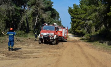 ΓΓΠΠ: Νέα προειδοποίηση για υψηλό κίνδυνο πυρκαγιών το Σάββατο