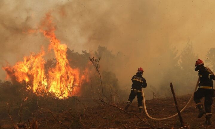 Εύβοια: Οριοθετήθηκε η πυρκαγιά που ξέσπασε στην Κάρυστο