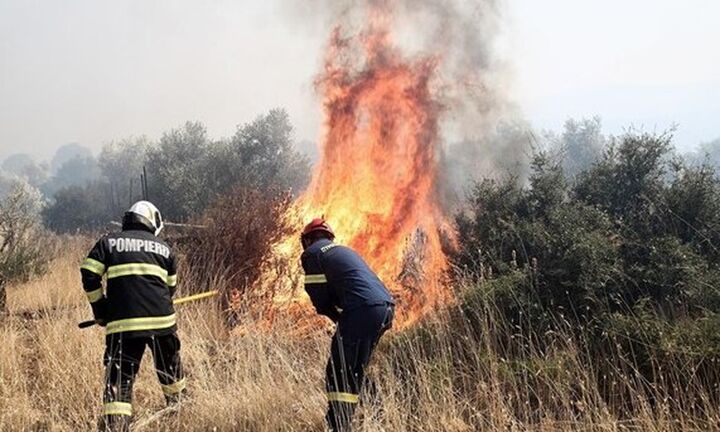 Σε ύφεση η πυρκαγιά στα Βίλια - Συνεχίζονται οι επιχειρήσεις κατάσβεσης