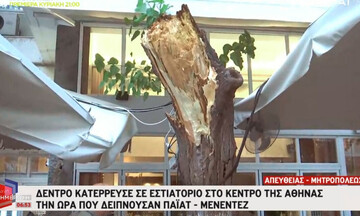 Απίστευτο περιστατικό: Δέντρο κατέρρευσε στο εστιατόριο που δειπνούσαν Τζέφρι Πάιατ - Μπομπ Μενέντεζ
