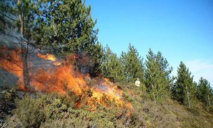 Πολύ υψηλός κίνδυνος πυρκαγιάς, αύριο, σε 7 περιφέρειες