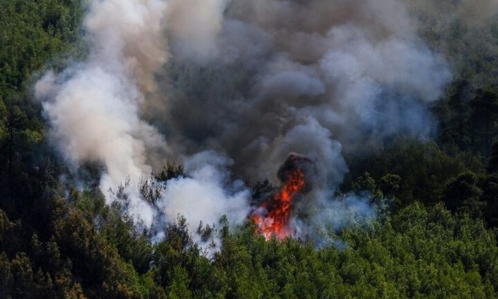 Φωτιά στο Αγιον Ορος στην περιοχή της Αγίας Άννας