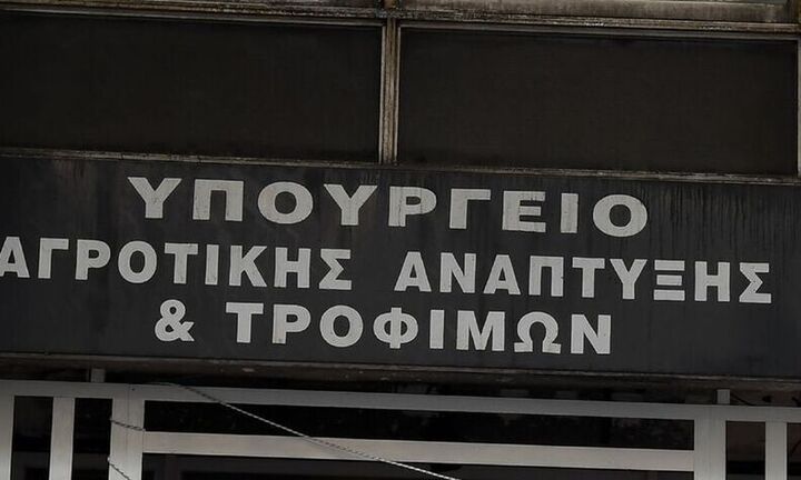 Υπ. Αγροτικής Ανάπτυξης: Ενίσχυση 19,9 εκατ. ευρώ σε χοίρο, μαύρο χοίρο και μέλι λόγω πανδημίας