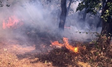 Πυρκαγιά τώρα στον Κάλαμο Αττικής