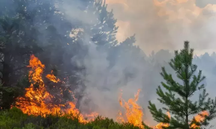 Υπό μερικό έλεγχο οι πυρκαγιές στις Αχαρνές και στον Κάλαμο Αττικής