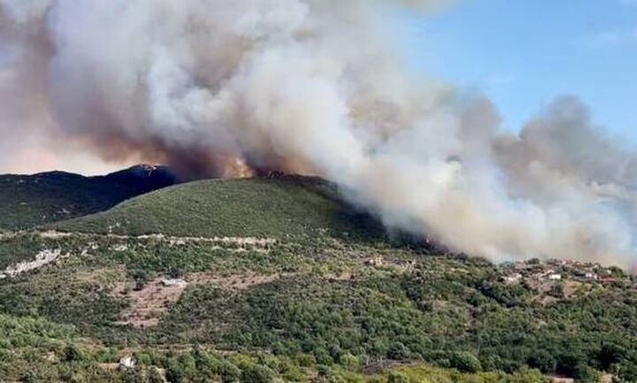 Πυρκαγιά σε δασική έκταση στα Καλύβια Μεγαλόπολης
