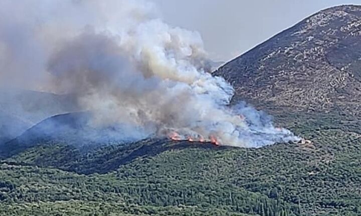 Πυρκαγιά στα Αβραμιάνικα της Ανατολικής Μάνης
