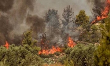 Σε εξέλιξη πυρκαγιά στην περιοχή Πλακάλωνα στα Χανιά