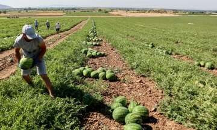 Δημοσιεύθηκε στο ΦΕΚ η απόφαση για τους «Νέους Αγρότες»