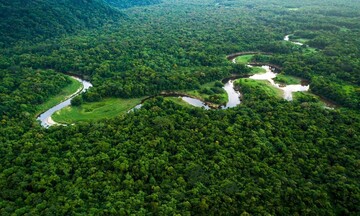 COP26: Η ΕΕ θα δαπανήσει 1 δισ. ευρώ για την προστασία των δασών στον κόσμο