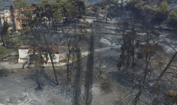 Μeteo: Χαρτογράφηση της ευφλεκτότητας της νεκρής δασικής καύσιμης ύλης στην Ελλάδα