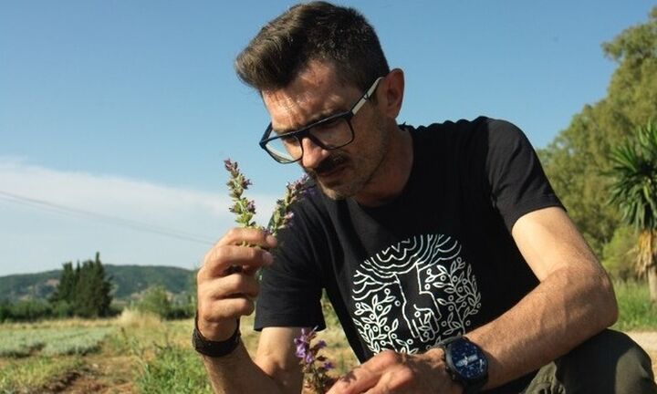 Ελληνικά βότανα σε...κάψουλες του καφέ: Η βράβευση της Start up «12 Gods»