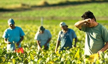 ΥΠΑΑΤ: Παρατείνεται έως 31/12 η προθεσμία για αιτήσεις μετάκλησης εποχικών εργατών γης