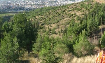 Αυτόνομο σύστημα ανίχνευσης πυρκαγιών στο Σέιχ Σου