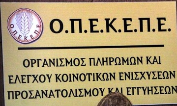 ΟΠΕΚΕΠΕ: Στα 31 εκατ. ευρώ τα δικαιώματα της βασικής ενίσχυσης από το εθνικό απόθεμα έτους 2021