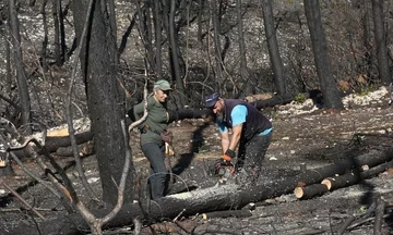 Τα διαφορετικά Χριστούγεννα των κατοίκων της Βόρειας Εύβοιας που επλήγησαν από τις πυρκαγιές