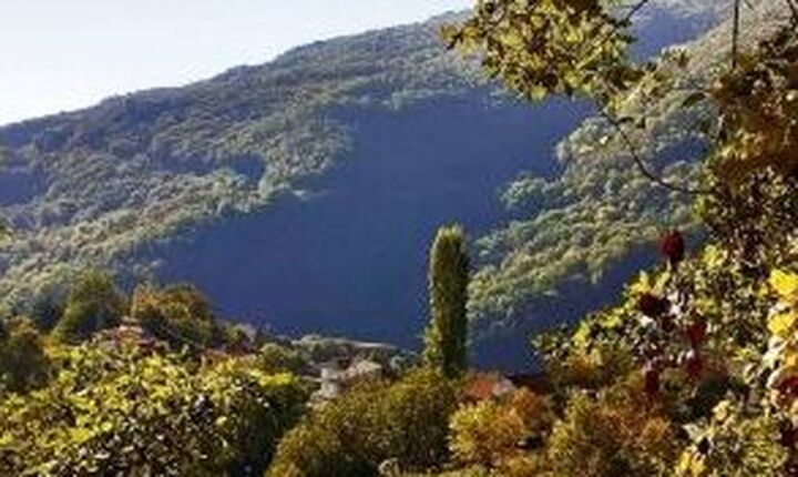 Στην Ομοσπονδία Ευρωπαϊκών Πάρκων το δάσος της Κούπας