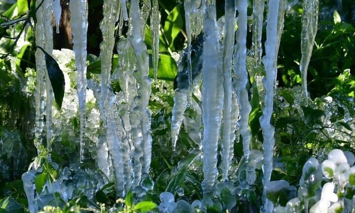 Ισχυρός παγετός και σήμερα στα κεντρικά και βόρεια της χώρας