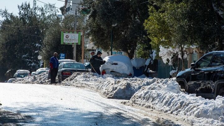 Ποιοι δήμοι αποζημιώνουν τις ζημιές από πτώσεις δέντρων σε ΙΧ