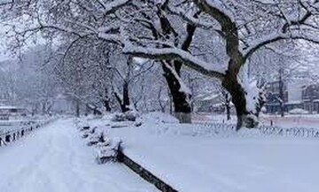 Δήμος Γλυφάδας: Θα διαθέσει δωρεάν ξυλεία στους δημότες του λόγω του χιονιά