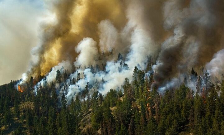   ΟΗΕ: Αύξηση 30% στις δασικές πυρκαγιές έως το τέλος του 2050 λόγω κλιματικής αλλαγής