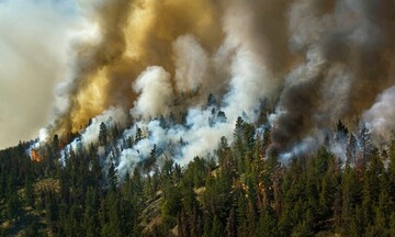   ΟΗΕ: Αύξηση 30% στις δασικές πυρκαγιές έως το τέλος του 2050 λόγω κλιματικής αλλαγής