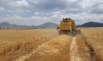  Η Ρωσία απαγορεύει τις εξαγωγές ζάχαρης και σιτηρών