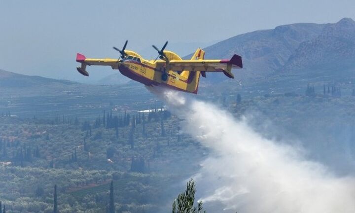 Φωτιά σε δύσβατη δασική περιοχή στη Μόλα Καλύβα- Ενισχύονται οι δυνάμεις