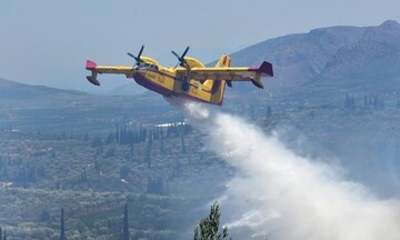 Φωτιά σε δύσβατη δασική περιοχή στη Μόλα Καλύβα- Ενισχύονται οι δυνάμεις
