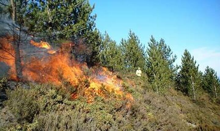  Αυξήθηκαν οι δασικές πυρκαγιές στην Ελλάδα το πρώτο τρίμηνο του 2022