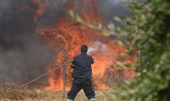 Εκπαίδευση 500 δασοκομάντος σε έξι πόλεις