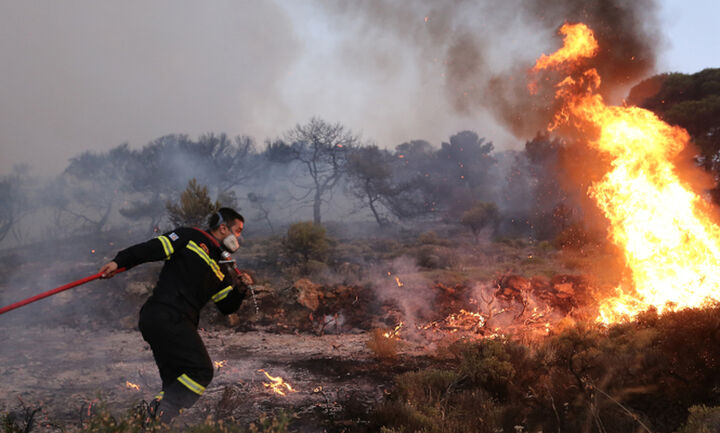 Πυρκαγιά σε δασική έκταση στο Αιάντειο Σαλαμίνας