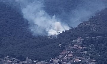 Υπό μερικό έλεγχο η πυρκαγιά σε δασική έκταση στο Αιάντειο Σαλαμίνας