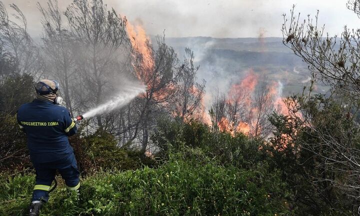 Πυρκαγιά σε δασική έκταση στη Σαλαμίνα