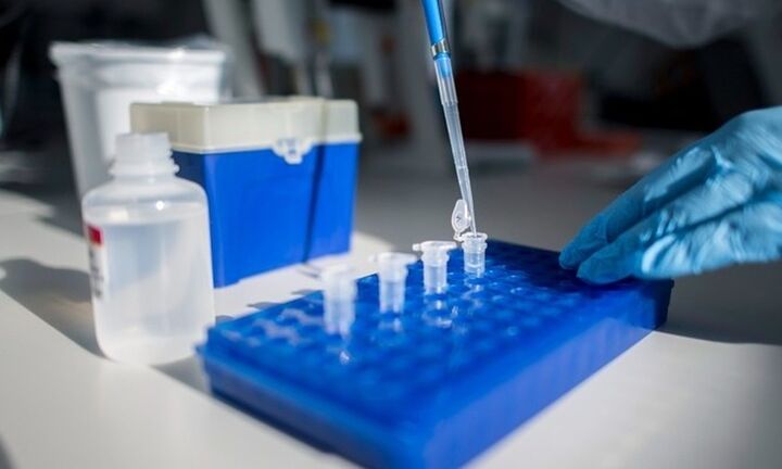 Μύκητας Candida auris: Τι είναι, που τον συναντάμε και πόσο πρέπει να ανησυχούμε