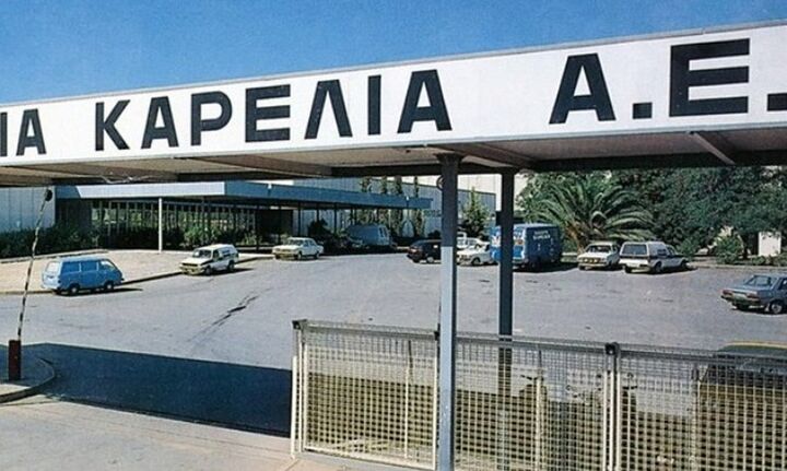 Στρατηγική συνεργασία Καρέλια - Dannemann