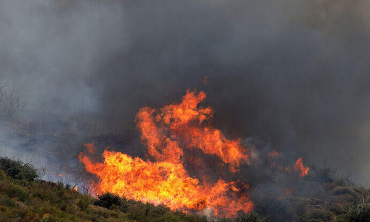  Κιλκίς: Πυρκαγιά στην Αξιούπολη