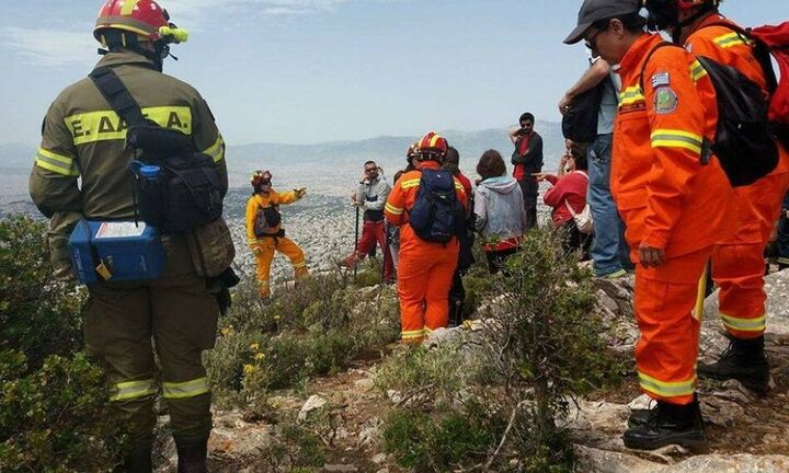 Πρωτοβουλία για την προστασία των δασών και τον εθελοντισμό