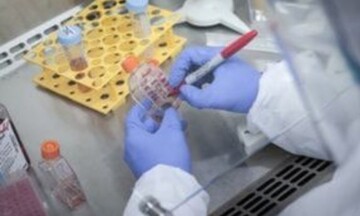 ΕΔΑΕ για τα κρούσματα λέπρας: Δεν υπάρχει κανένας κίνδυνος και λόγος στιγματισμού